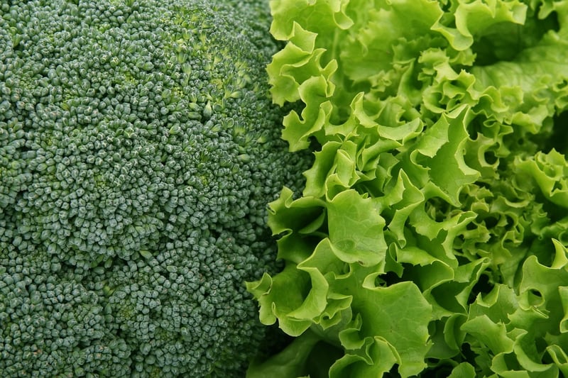 Mindful Eating
